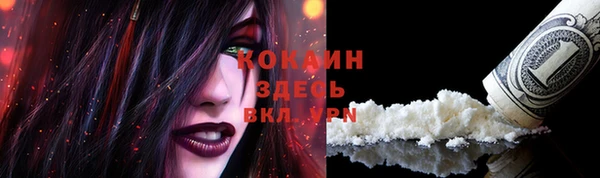 крисы Армянск
