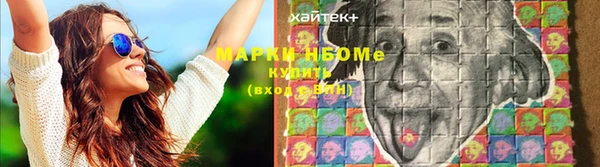 крисы Армянск