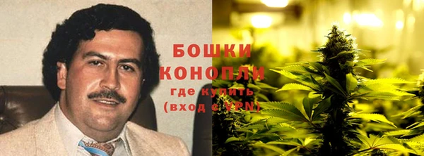 гидра Аркадак