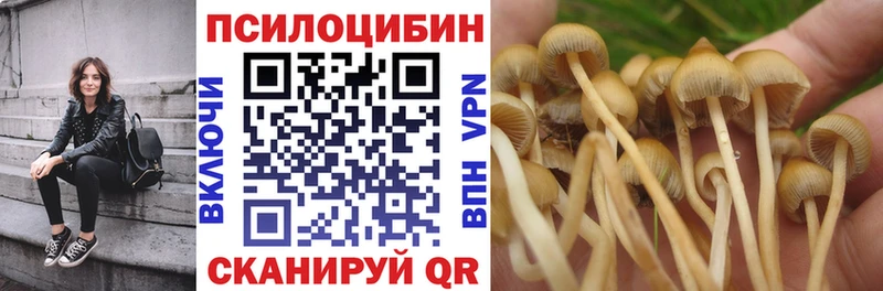 Галлюциногенные грибы мухоморы  Аркадак 